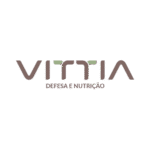 Vitta_logo